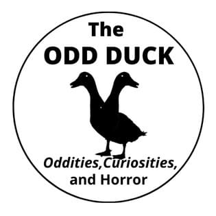 lincoln county logo odd duck